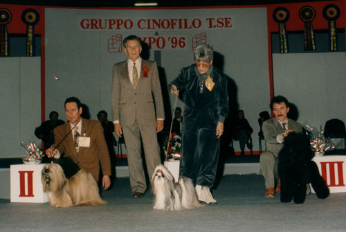 Storia-gallery-07 Allevamento Epsylon Shih Tzu