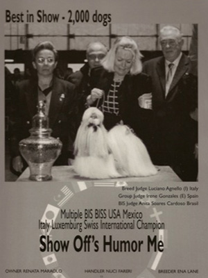 Storia-gallery-09 Allevamento Epsylon Shih Tzu