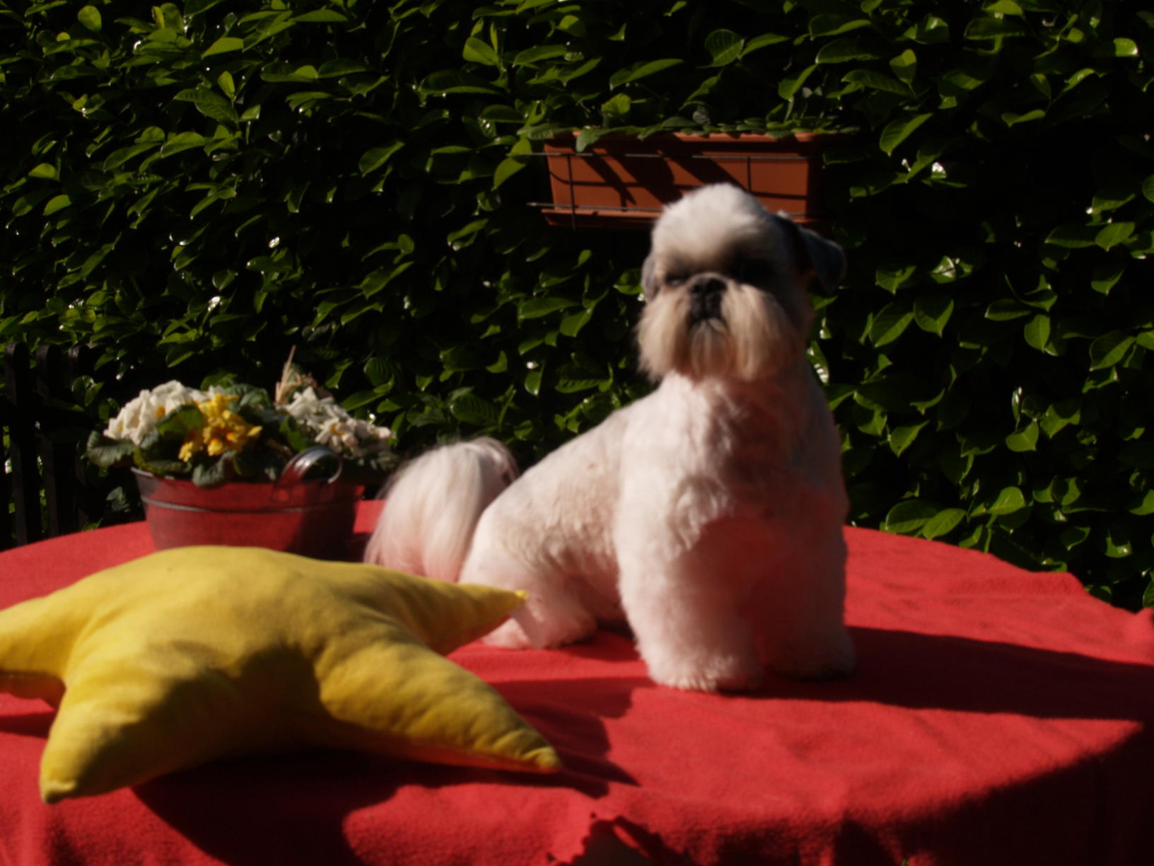 OLYMPUS DIGITAL CAMERA