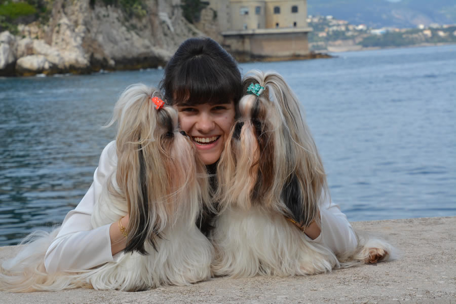 Convivenza02 Cani Shih Tzu